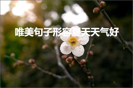 唯美句子形容夏天天气好（文案379条）