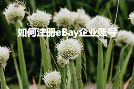 跨境电商知识:如何注册eBay企业账号