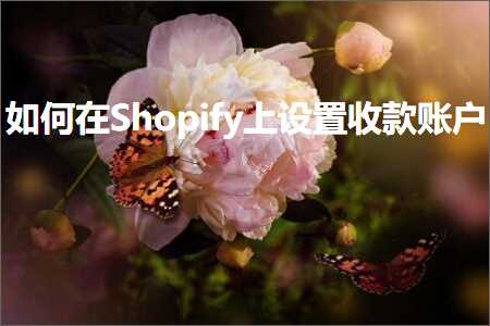 璺ㄥ鐢靛晢鐭ヨ瘑:濡備綍鍦⊿hopify涓婅缃敹娆捐处鎴? width=