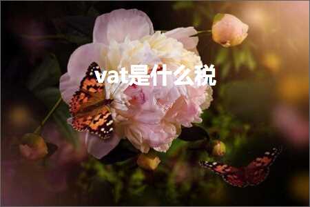 璺ㄥ鐢靛晢鐭ヨ瘑:vat鏄粈涔堢◣