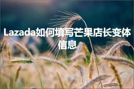 跨境电商知识:Lazada如何填写芒果店长变体信息