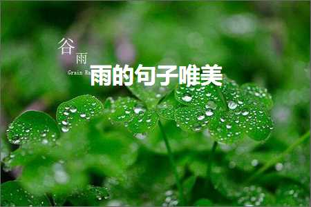 雨的句子唯美（文案615条）