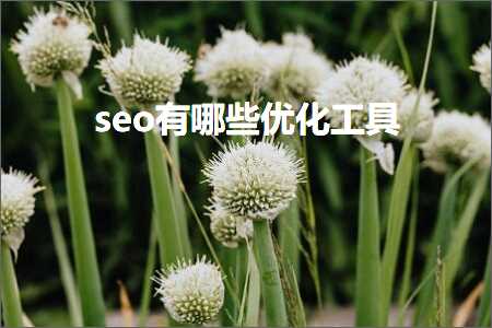 跨境电商知识:seo有哪些优化工具